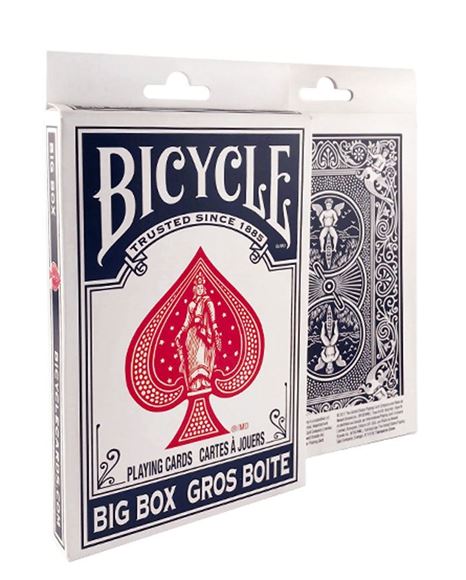 Imagen de Bicycle Big Box - Azul